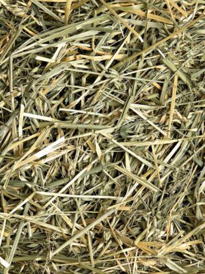 Oat Hay