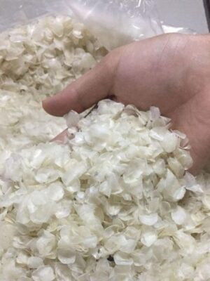 Tilapia Fish Scale