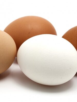 White & Brown Egg
