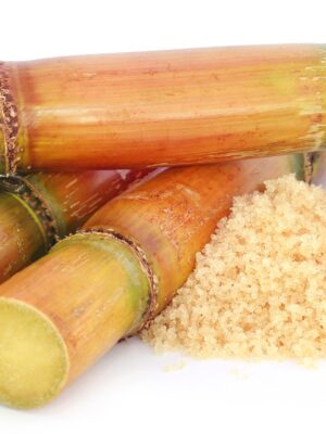 Cane Sugar