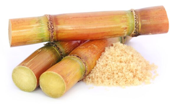Cane Sugar