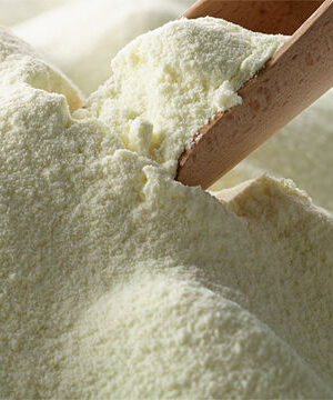 Sweet Whey Powder